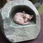 20430073_1221134727992137_8909444828631960925_n