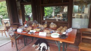 tuinbezoek beeldentuin met lunch